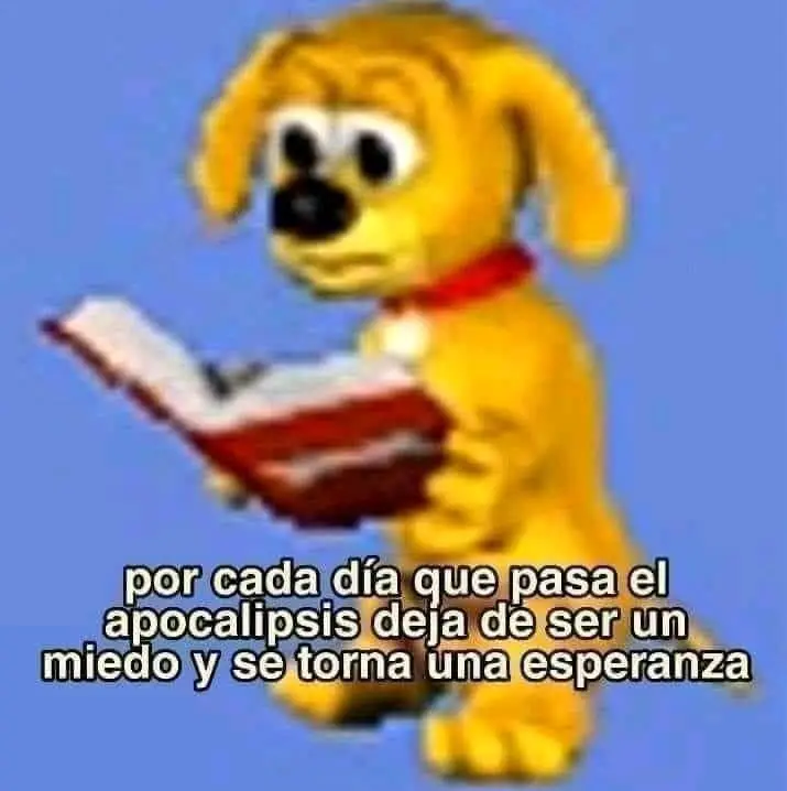 Imagen de un perro